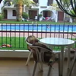 En Aldeas De Taray Club